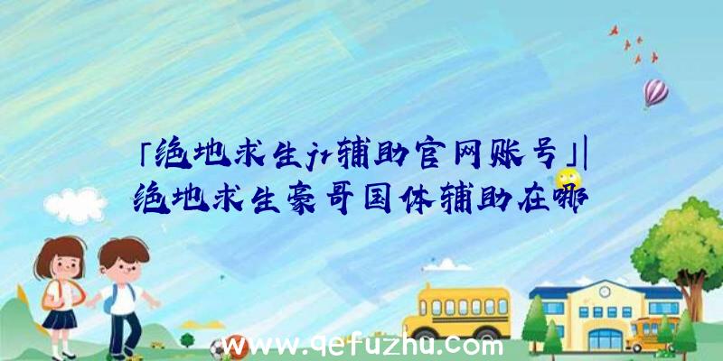 「绝地求生jr辅助官网账号」|绝地求生豪哥国体辅助在哪